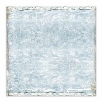Colección «Arctic Antarctic» 30 x 30