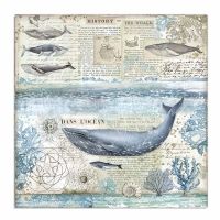 Colección «Arctic Antarctic» 30 x 30