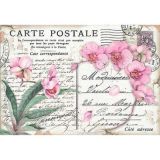 stamperia-papel-de-arroz-stamperia-dfs415-48x33-cm.jpg
