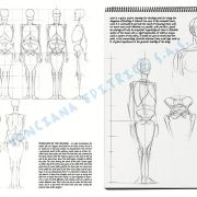 Colección Leonardo – 02 – Las bases del dibujo