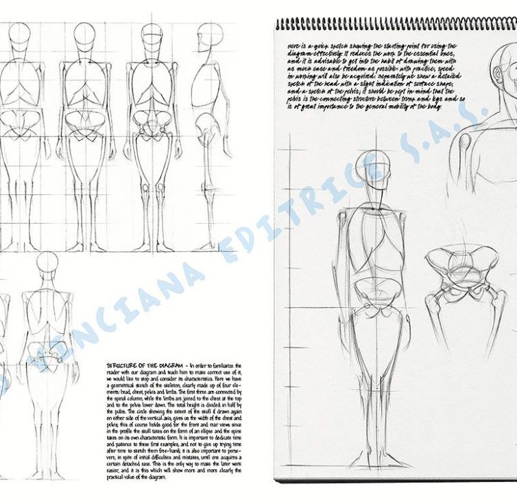 Colección Leonardo – 02 – Las bases del dibujo