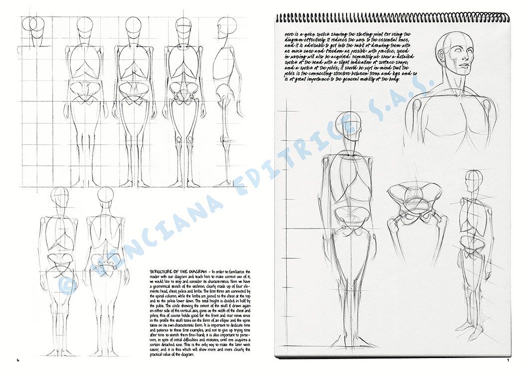 Colección Leonardo – 02 – Las bases del dibujo