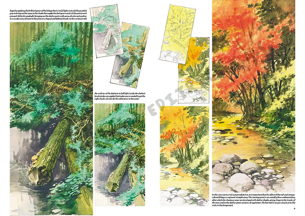 Colección Leonardo – 15 – Paisajes
