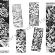 Colección Leonardo – 20 – Flores