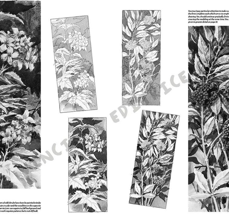 Colección Leonardo – 20 – Flores