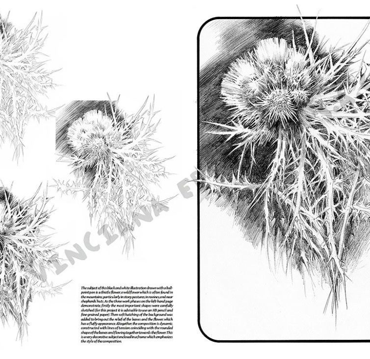 Colección Leonardo – 23 – Flores