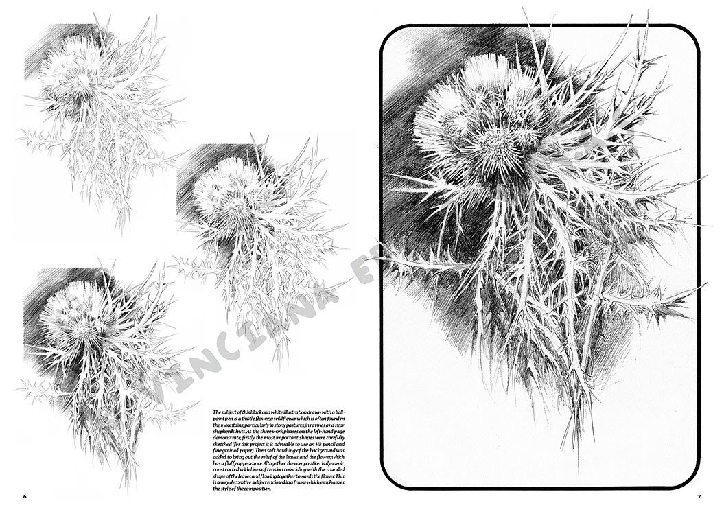 Colección Leonardo – 23 – Flores