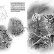 Colección Leonardo – 28 – Los pájaros