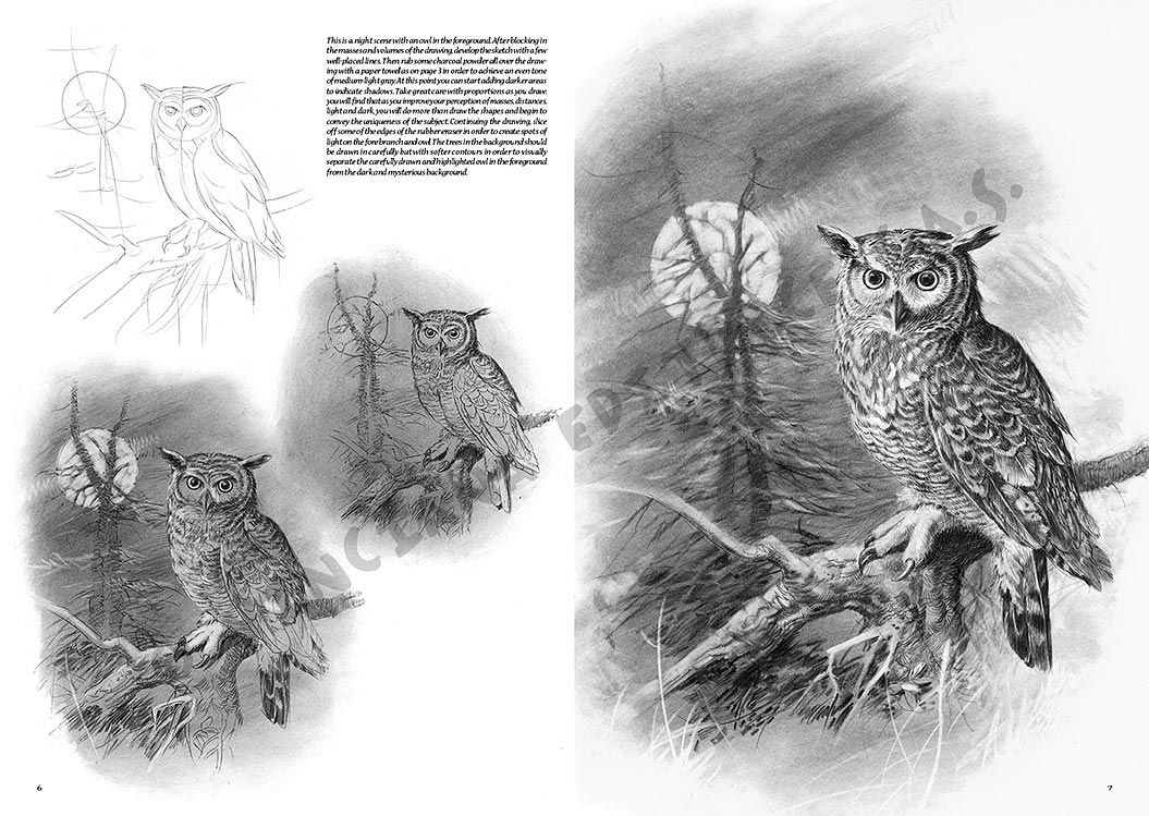 Colección Leonardo – 28 – Los pájaros
