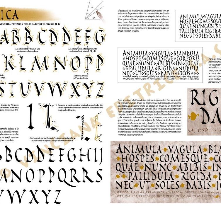 Colección Leonardo – 39 – La caligrafía