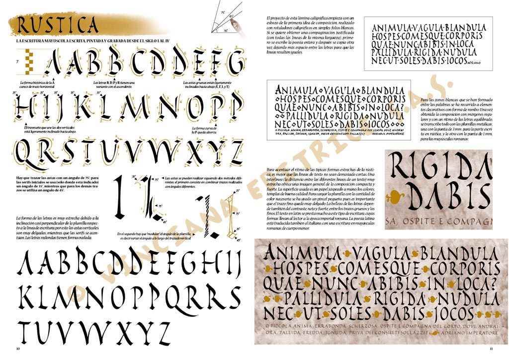 Colección Leonardo – 39 – La caligrafía