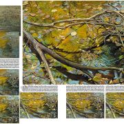 Colección Leonardo – 47 – Las estaciones