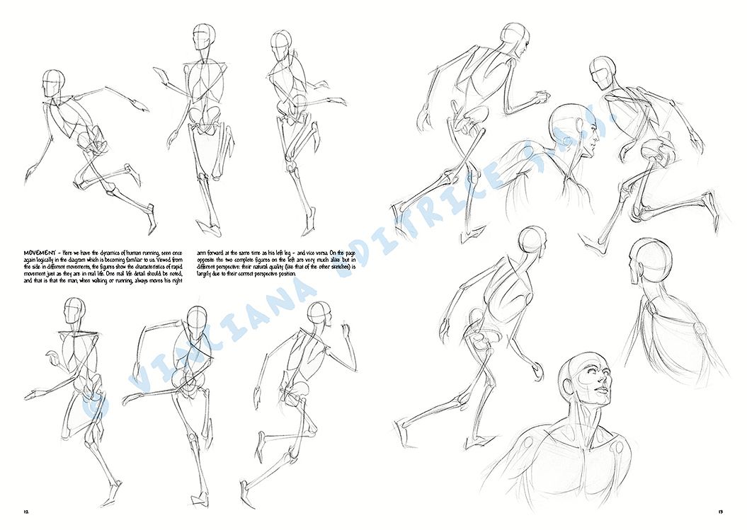 Colección Leonardo – 02 – Las bases del dibujo