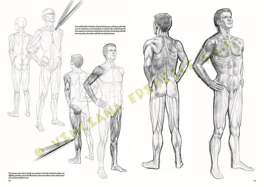 Colección Leonardo – 10 – Desnudos