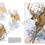 Colección Leonardo – 13 – Animales