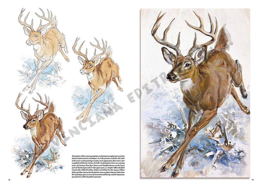Colección Leonardo – 13 – Animales