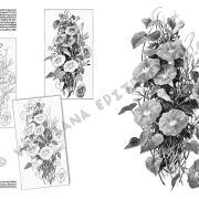 Colección Leonardo – 20 – Flores
