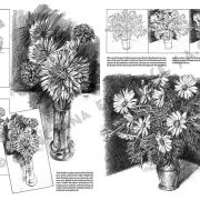 Colección Leonardo – 21 – Flores