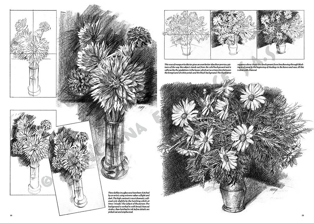 Colección Leonardo – 21 – Flores