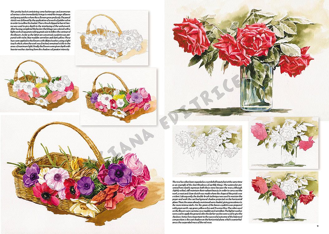 Colección Leonardo – 23 – Flores
