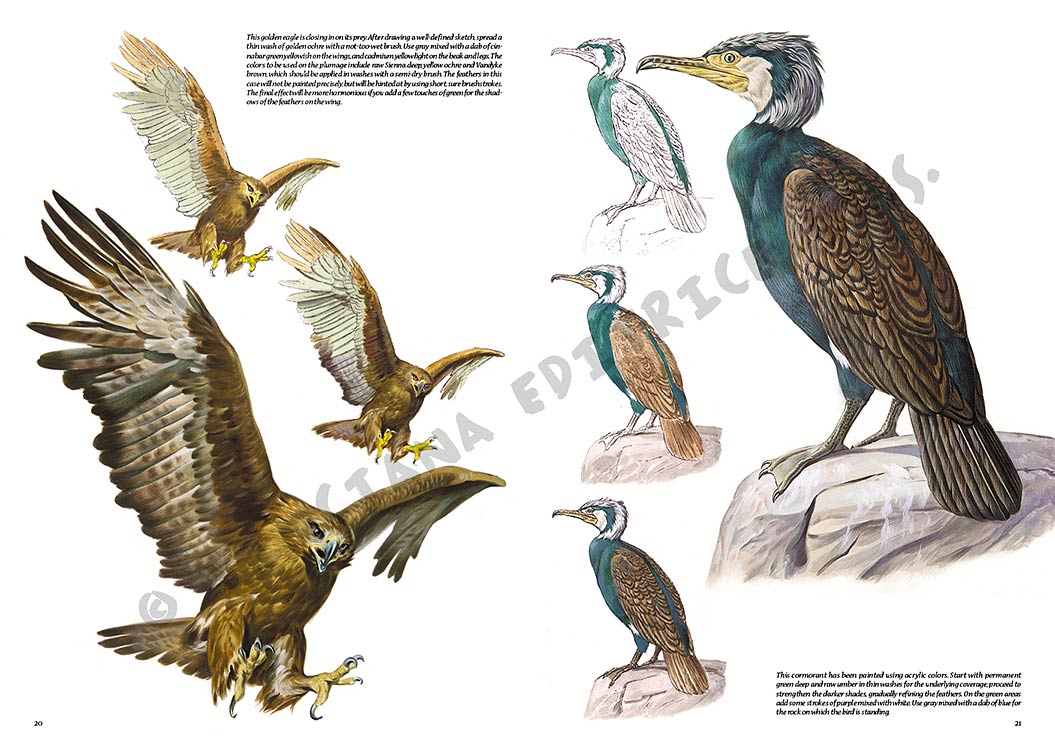 Colección Leonardo – 28 – Los pájaros