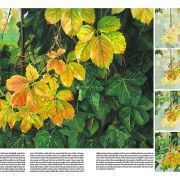 Colección Leonardo – 45 – Árboles y hojas