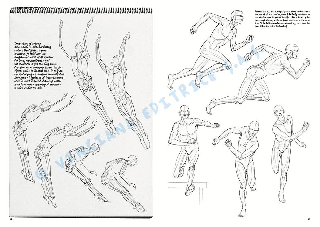 Colección Leonardo – 02 – Las bases del dibujo