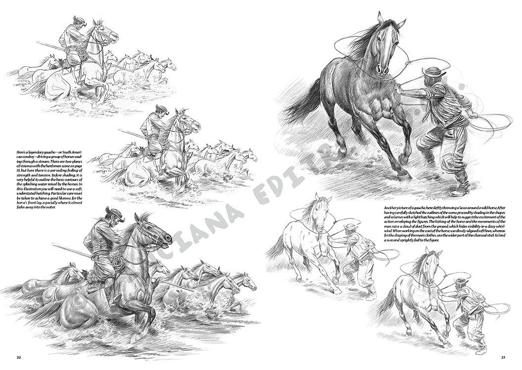 Colección Leonardo – 11 – Caballos y jinetes