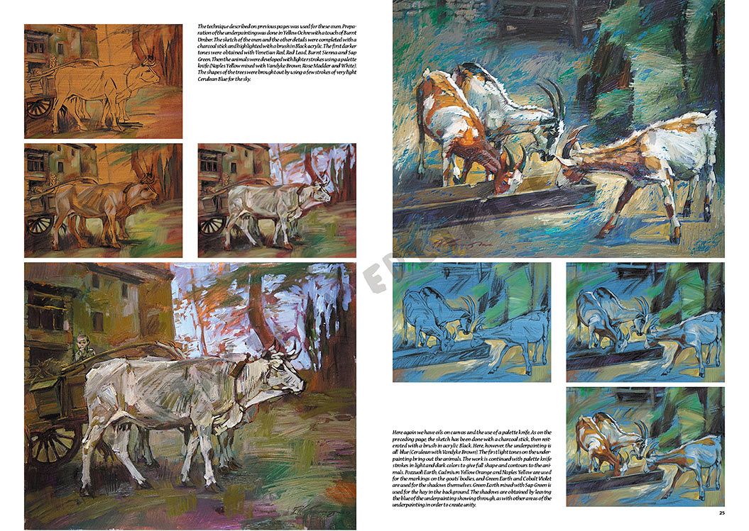 Colección Leonardo – 13 – Animales