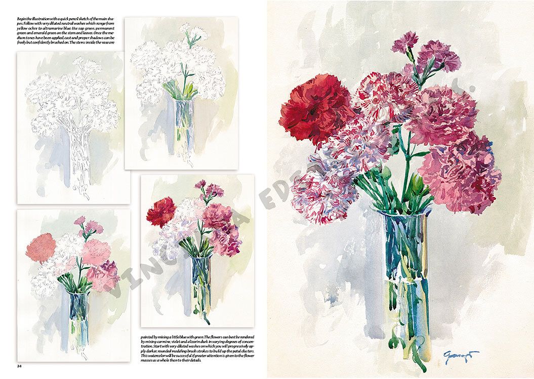 Colección Leonardo – 20 – Flores
