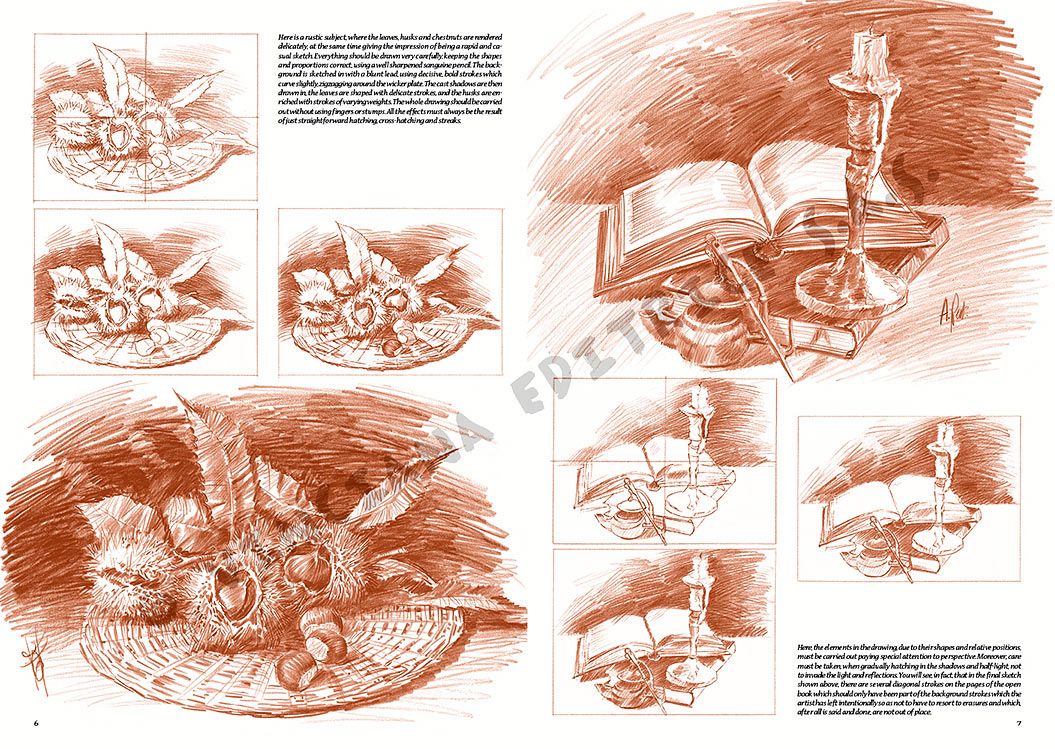 Colección Leonardo – 25 – Naturalezas muertas