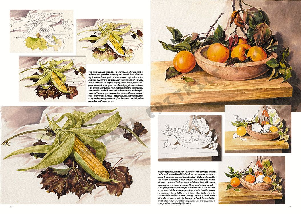 Colección Leonardo – 26 – Naturalezas muertas