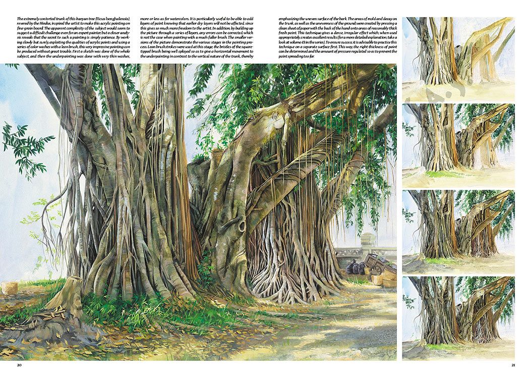 Colección Leonardo – 45 – Árboles y hojas