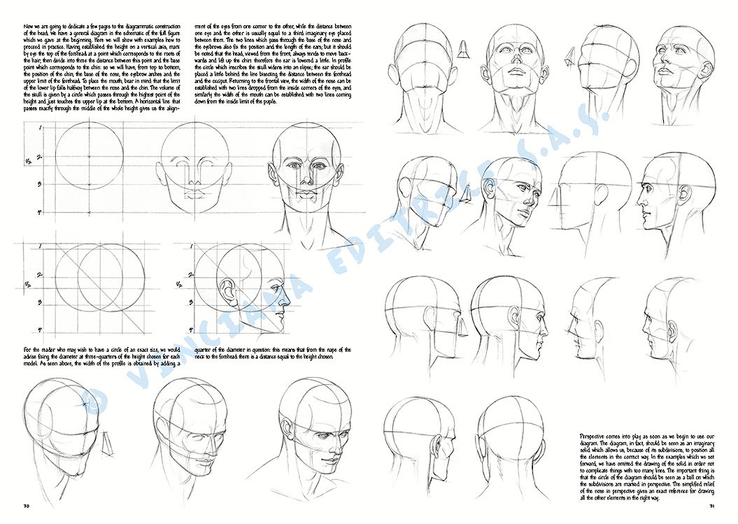 Colección Leonardo – 02 – Las bases del dibujo