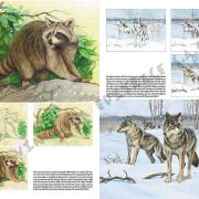 Colección Leonardo – 12 – Animales