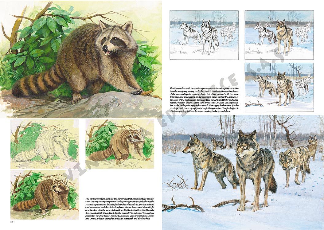 Colección Leonardo – 12 – Animales