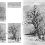 Colección Leonardo – 19 – Paisajes