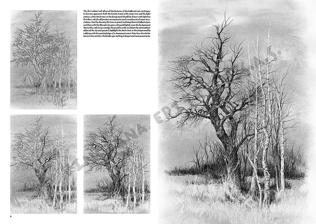 Colección Leonardo – 19 – Paisajes