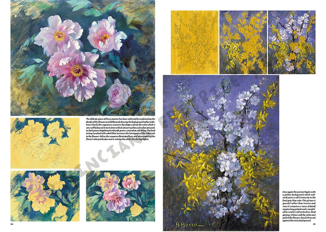 Colección Leonardo – 21 – Flores