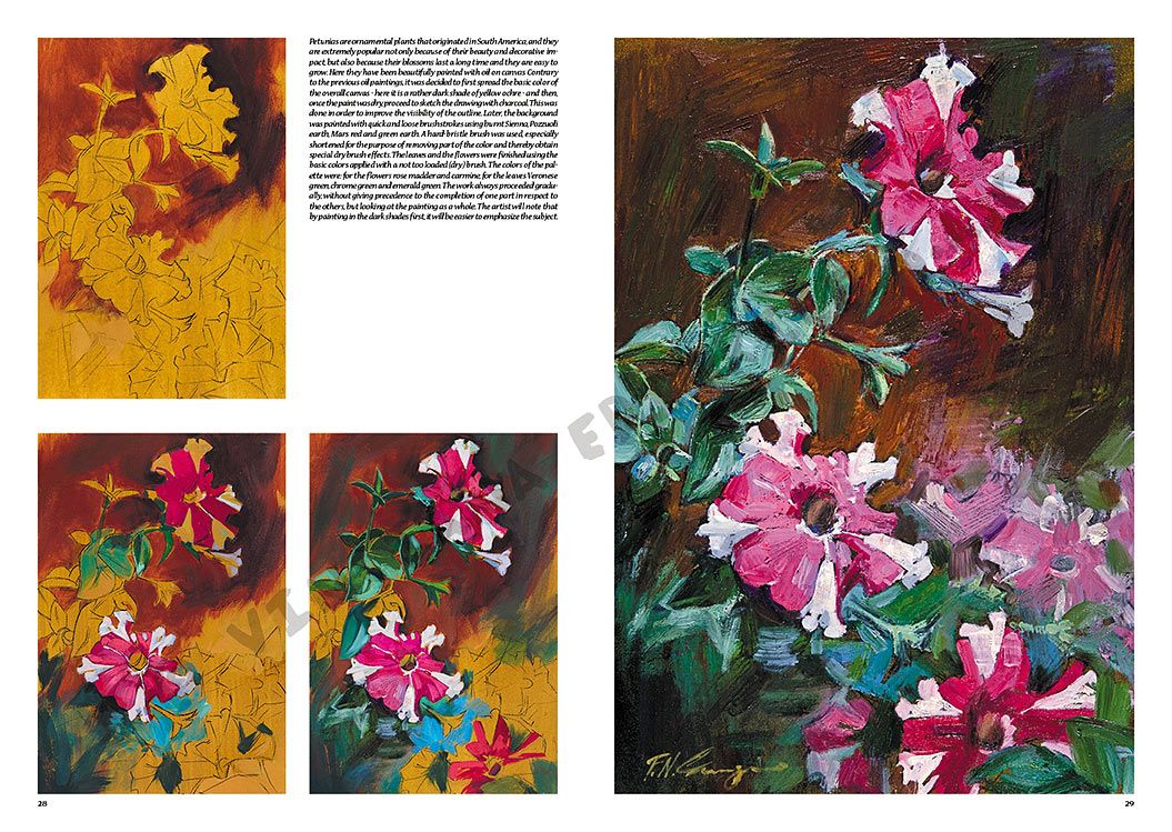 Colección Leonardo – 23 – Flores