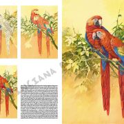 Colección Leonardo – 28 – Los pájaros