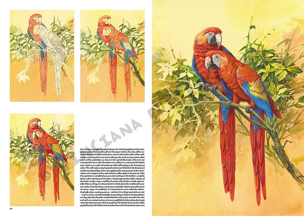 Colección Leonardo – 28 – Los pájaros