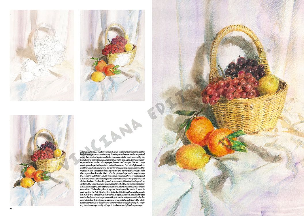 Colección Leonardo – 41 – Naturalezas muertas