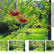 Colección Leonardo – 45 – Árboles y hojas