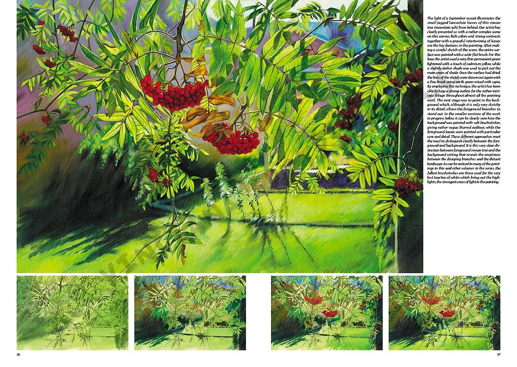 Colección Leonardo – 45 – Árboles y hojas