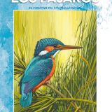 vinciana-cover_148-1.jpg