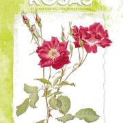 Colección Leonardo – 42 – Rosas