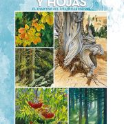 Colección Leonardo – 45 – Árboles y hojas