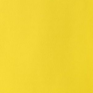 Gouache Winsor & Newton (02) Amarillo Cadmio Limón 14 ml. Art.-Nr. 50958214