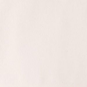Gouache Winsor & Newton (89) Blanco Zinc 14 ml. Art.-Nr. 50947195